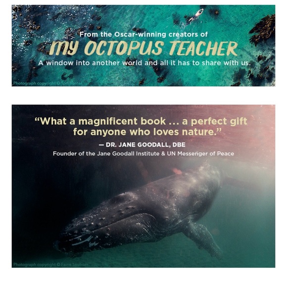 NWT Hardcover Book ‘A Journey Under the Sea’ - Picture 6 of 9